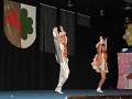 HCC 2011   110